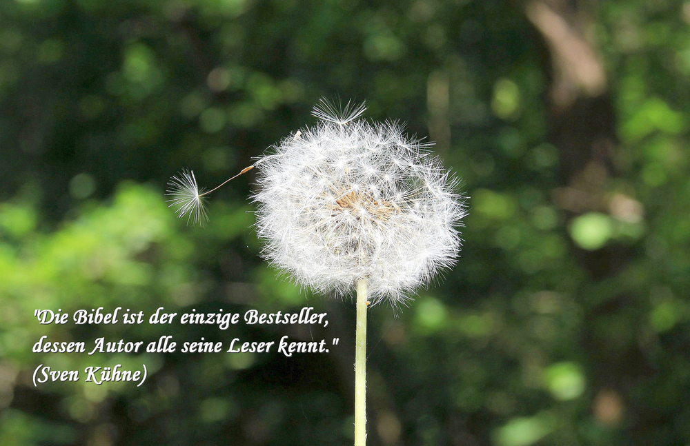 © Doris Schug / Sven Kühne (Zitat) in: Pfarrbriefservice.de