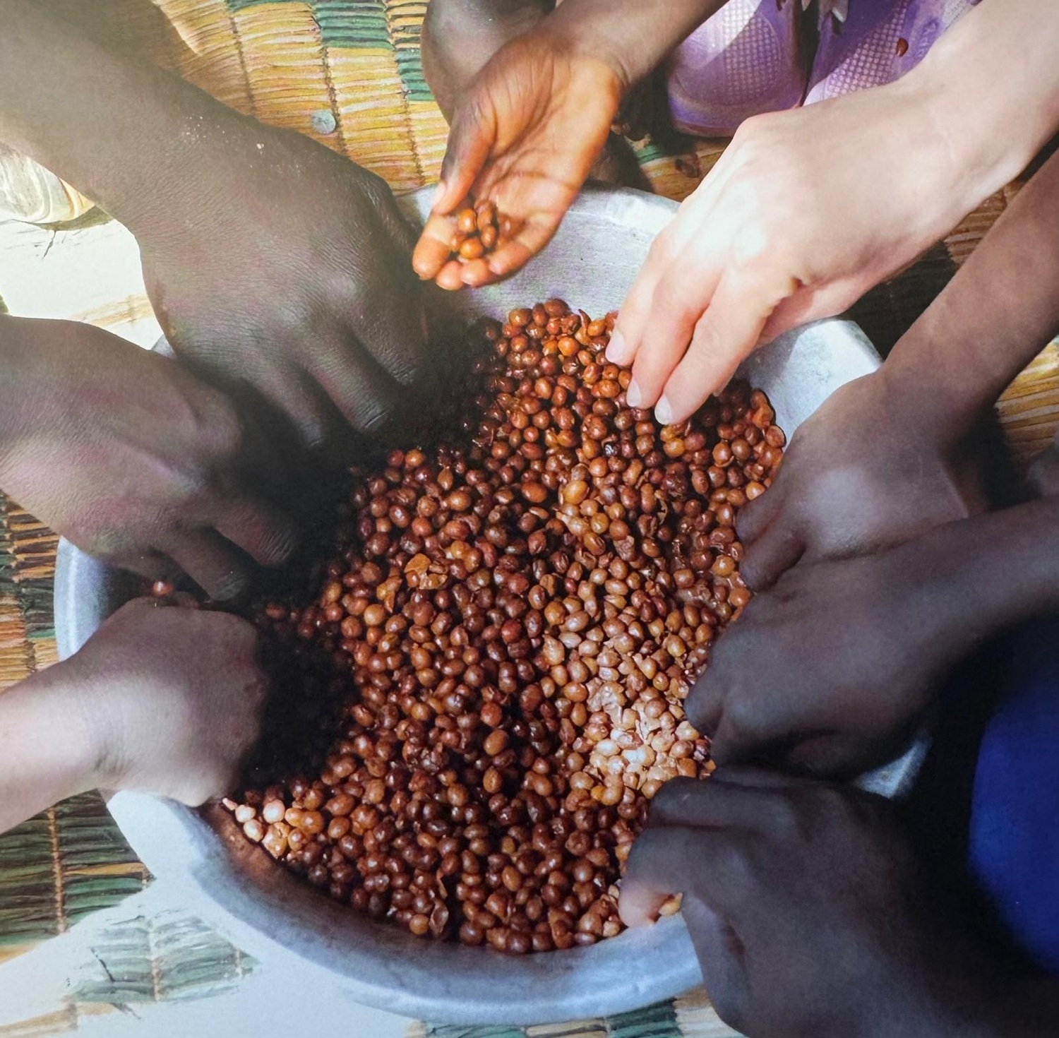 Caritas Homepage - Waltraud