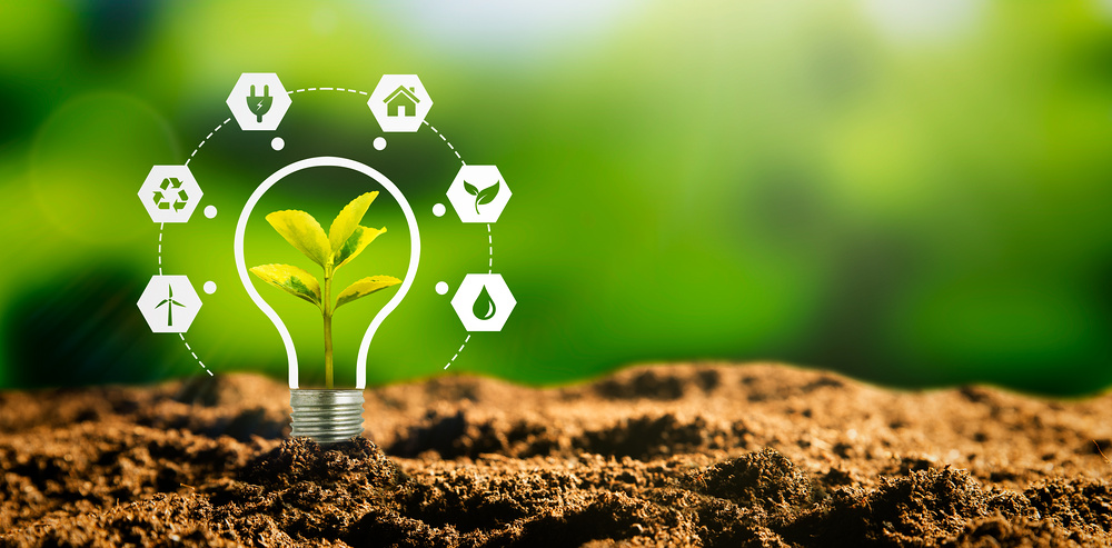 Sustainable energy sources concept with light bulb and plant